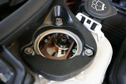 _MG_2564.jpg