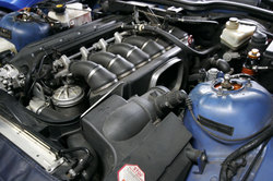 _MG_3236.JPG