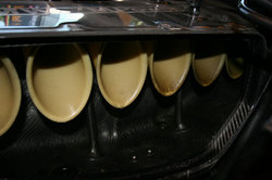 IMG_3218.JPG