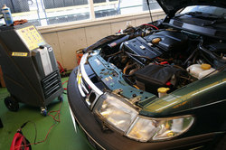 _MG_3616.JPG
