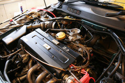 _MG_3621.JPG