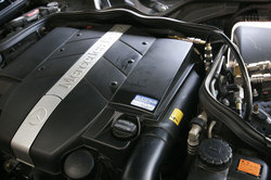 _MG_3725.JPG