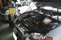 _MG_3781.JPG