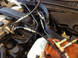 IMG_2704.JPG