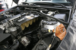 _MG_4156.JPG