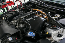 _MG_5570.JPG